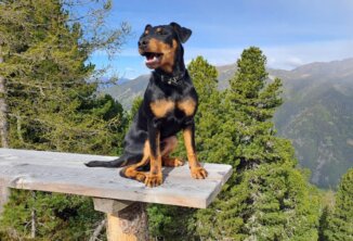 Bubi vom Leben Hemmingways