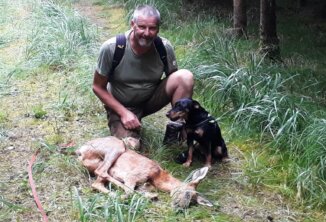 Gufler Bernhard mit Eros bei der VSchwp in Mertingen 2023