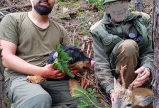 Erfolgreiche Nachsuchen - Rehbock - Jagdrerier Algund
