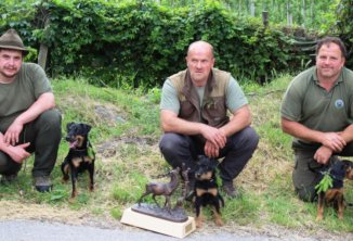 Bestandene Schweißprüfung Naturns Pfingsten
Paulmichl Stefan mit Kiwid vom Grenzkamm
Prüfungssieger Niederwolfsgruber Siegfried mit Asta vom Almberger Hof und Peer Helmuth mit Asta