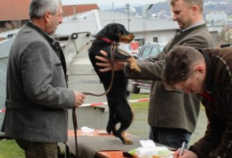 ZS Bayreuth ZS Bayreuth