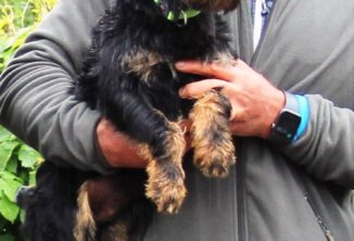 Neuzugagn aus den Abruzzen
Max mit Brunner Kurt