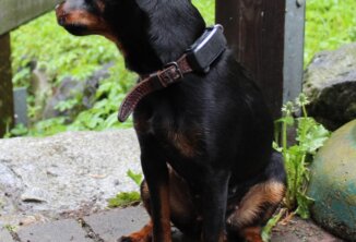 Clubfest 2025
Einige der Protagonisten