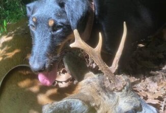 Spögler Kristian mit Sami vom Grenzkamm