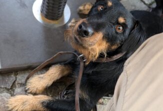 Adi wartet auf die Bühne
Landeshubertustag Domplatz Brixen