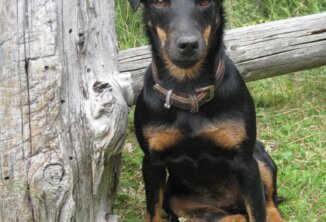 Clubfest Töbrunn 2024 Ruhig und Führig