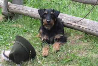 Clubfest 2024 - Latsch - Töbrunn
Platz und bleib