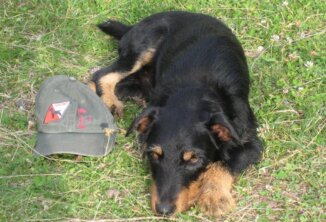 Clubfest 24 - Latsch/Töbrunn Platz und Warten (unangeleint)